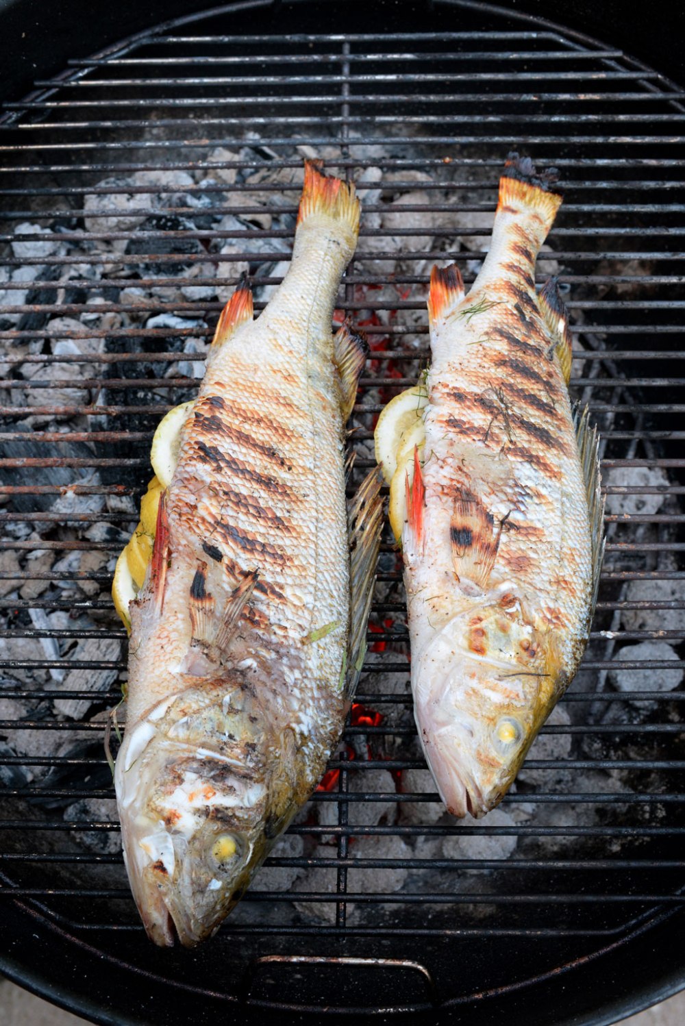 abborre-dubbel-grill