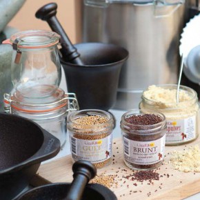 senaps_dragarbild-e1416240758445-290x290