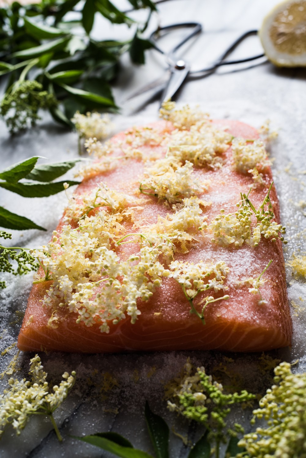 Flädergravad lax-059